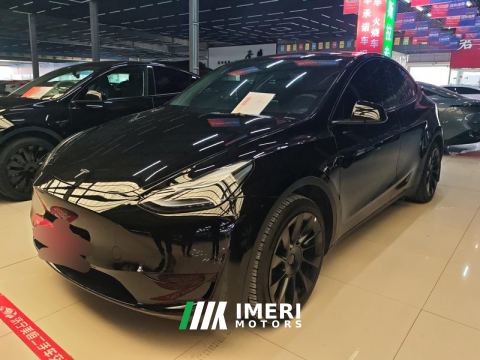 2021 Tesla Model Y Standard endurance rear-wheel drive - автомобиль из Китая