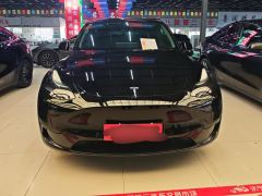 Tesla Model Y Standard endurance rear-wheel drive - ფოტო 3