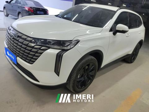 2024 Haval H6 2.0T AWD Max - ავტომობილი ჩინეთიდან