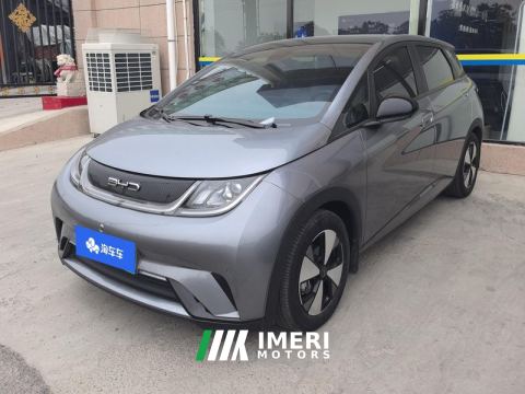 2023 BYD Dolphin 420km Stylish Edition - ავტომობილი ჩინეთიდან