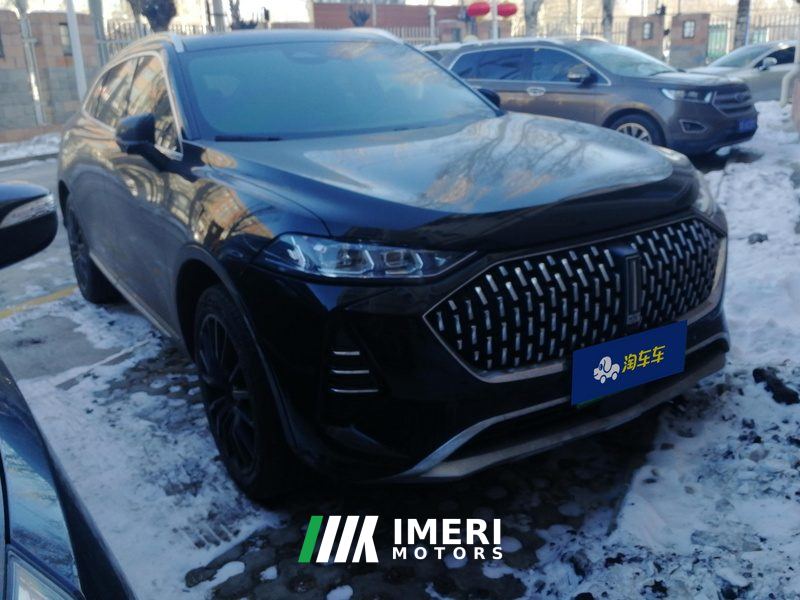 WEY Mo Ka Wei Brand Mocha 1.5T 175km 0 Anxiety Performance Edition - car from China