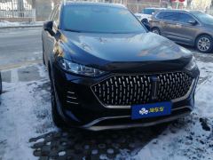 WEY Mo Ka Wei Brand Mocha 1.5T 175km 0 Anxiety Performance Edition - photo 3