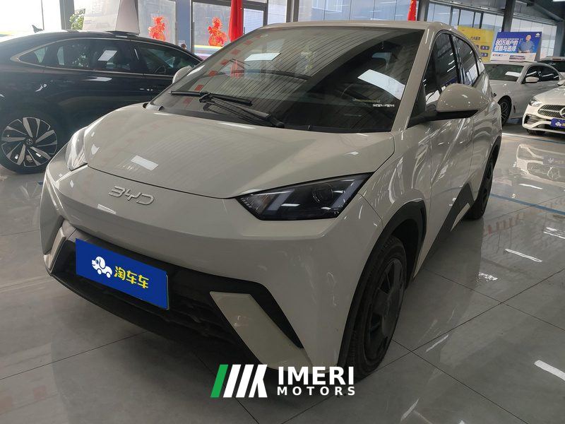 BYD Seagull Honor Edition 305km Vitality Edition