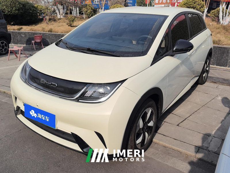 BYD Dolphin Honor Edition 420km Free Version - ავტომობილი ჩინეთიდან