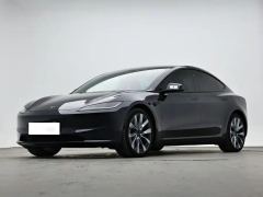 Tesla Model 3 606km Rear-Wheel Drive Edition - ფოტო 1