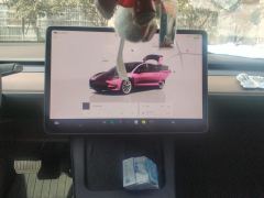 Tesla Model 3 556km Rear-Wheel Drive Edition - photo 17