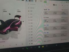 Tesla Model 3 556km Rear-Wheel Drive Edition - photo 20