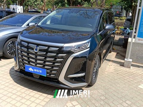 2022 Denza D9 DM-i 1040 Premium - car from China