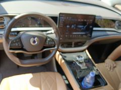 Denza D9 DM-i 1040 Premium - photo 16