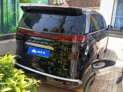 Denza D9 DM-i 1040 Premium - photo 2