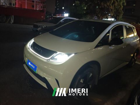 2023 BYD Dolphin 420km Stylish Edition - car from China