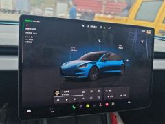 Tesla Model 3 606km Rear-Wheel Drive Edition - ფოტო 20