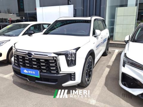 2024 GAC ES9 2.0T 143km Max 6 - car from China