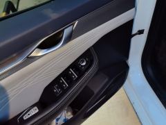 Geely Xingui 2.0TD Premium Version - ფოტო 13