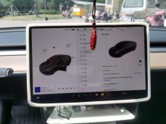 Tesla Model 3 556km Rear-Wheel Drive Edition - photo 20