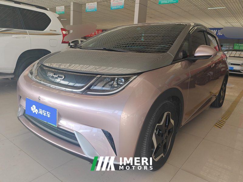 BYD Dolphin 405km Stylish Edition - car from China