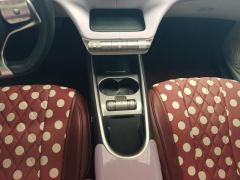 BYD Dolphin 405km Stylish Edition - photo 19