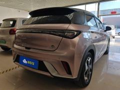 BYD Dolphin 405km Stylish Edition - photo 2