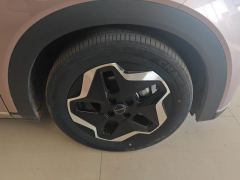 BYD Dolphin 405km Stylish Edition - photo 6
