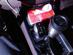 Dongfeng Palazzo 2.0T 2WD Version - фото 19
