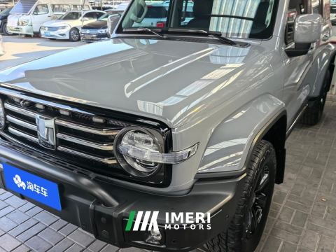 2021 Tank 300 City Edition 2.0T Stylish - ავტომობილი ჩინეთიდან