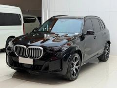 BMW X5 xDrive30Li Deluxe VersionM - ფოტო 1