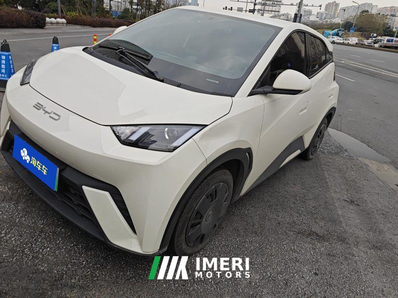 BYD Seagull 305km Vitality Edition - ავტომობილი ჩინეთიდან