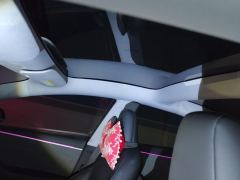 Tesla Model 3 606km Rear-Wheel Drive Edition - photo 15