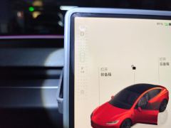 Tesla Model 3 606km Rear-Wheel Drive Edition - photo 19