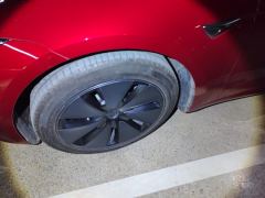 Tesla Model 3 606km Rear-Wheel Drive Edition - photo 6