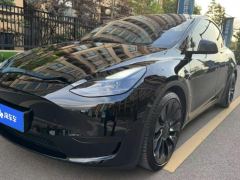 Tesla Model Y 615km Performance High-Performance AWD Version - фото 1