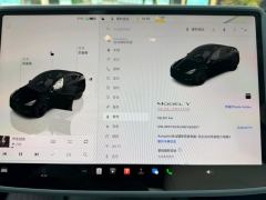 Tesla Model Y 615km Performance High-Performance AWD Version - фото 17