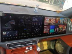 Li Auto L9 Max - ფოტო 17