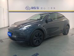 Tesla Model Y 554km Rear-Wheel Drive Edition - фото 1