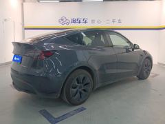Tesla Model Y 554km Rear-Wheel Drive Edition - фото 2