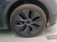 Tesla Model Y 554km Rear-Wheel Drive Edition - фото 6