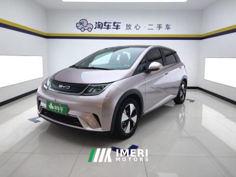 2023 BYD Dolphin 420km Stylish Edition - ავტომობილი ჩინეთიდან