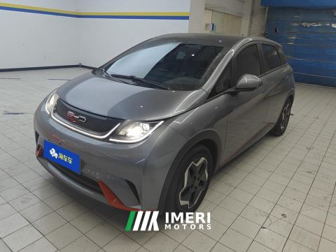 2021 BYD Dolphin 405km Stylish Edition - ავტომობილი ჩინეთიდან