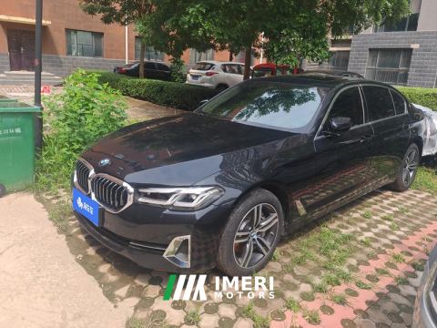2022 BMW 5 Series 530Li Leading Luxury Package - автомобиль из Китая