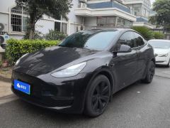 Tesla Model Y 688km Long Range AWD - ფოტო 1