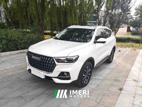 2023 Haval H6 Guochao Edition 1.5T 2WD Urban Edition - ავტომობილი ჩინეთიდან