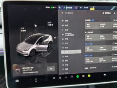 Tesla Model Y 554km Rear-Wheel Drive Edition - ფოტო 20