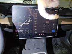 Tesla Model 3 556km Rear-Wheel Drive Edition - ფოტო 17