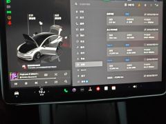 Tesla Model 3 556km Rear-Wheel Drive Edition - ფოტო 20