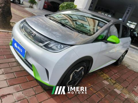 2021 BYD Dolphin 405km Free Version - ავტომობილი ჩინეთიდან