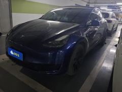Tesla Model Y 545km Rear-Wheel Drive Edition - ფოტო 1