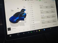 Tesla Model Y 545km Rear-Wheel Drive Edition - ფოტო 20