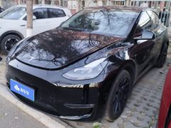 Tesla Model Y Standard endurance rear-wheel drive - фото 1
