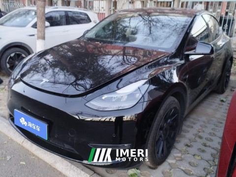 2021 Tesla Model Y Standard endurance rear-wheel drive - ავტომობილი ჩინეთიდან
