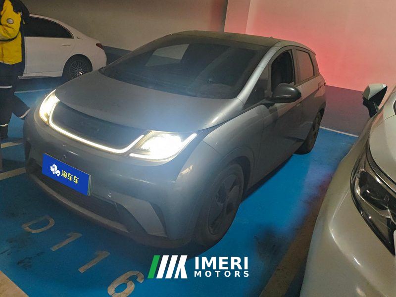 BYD Dolphin 420km Stylish Edition - ავტომობილი ჩინეთიდან